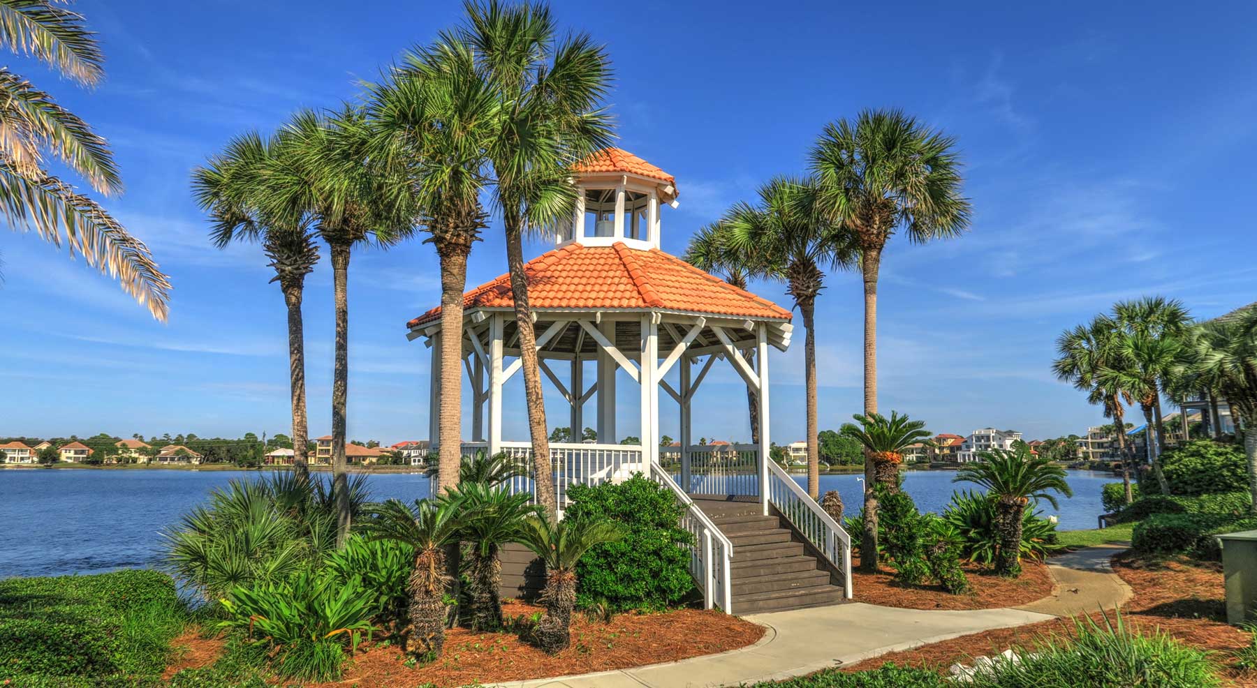 florida landscape overlooking the bay